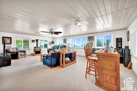 Living area featuring carpet floors