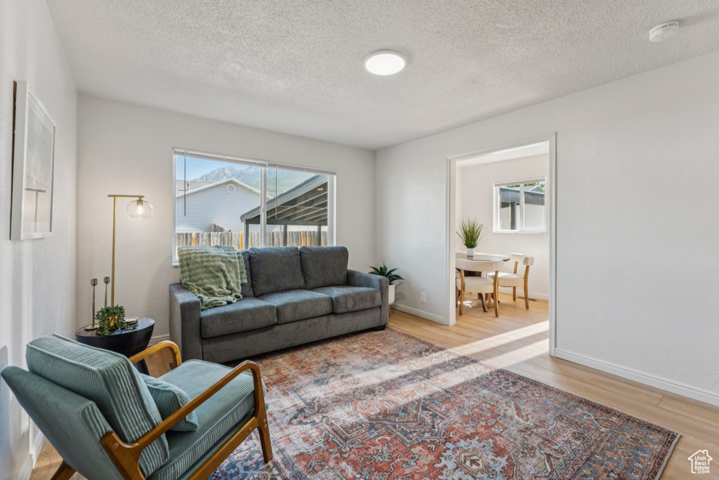 Living area with light wood-style flooring and a textured ceiling