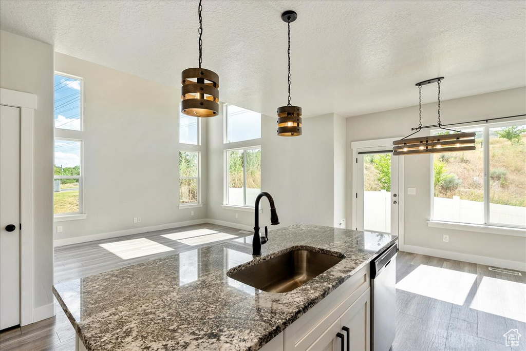 Kitchen with healthy amount of natural light, a textured ceiling, stainless steel dishwasher, and wood finished floors