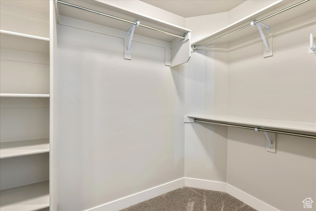 Spacious closet with carpet