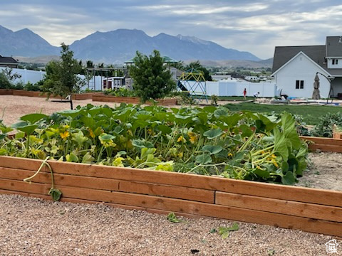 View of property\\\'s community featuring a garden and a mountain view