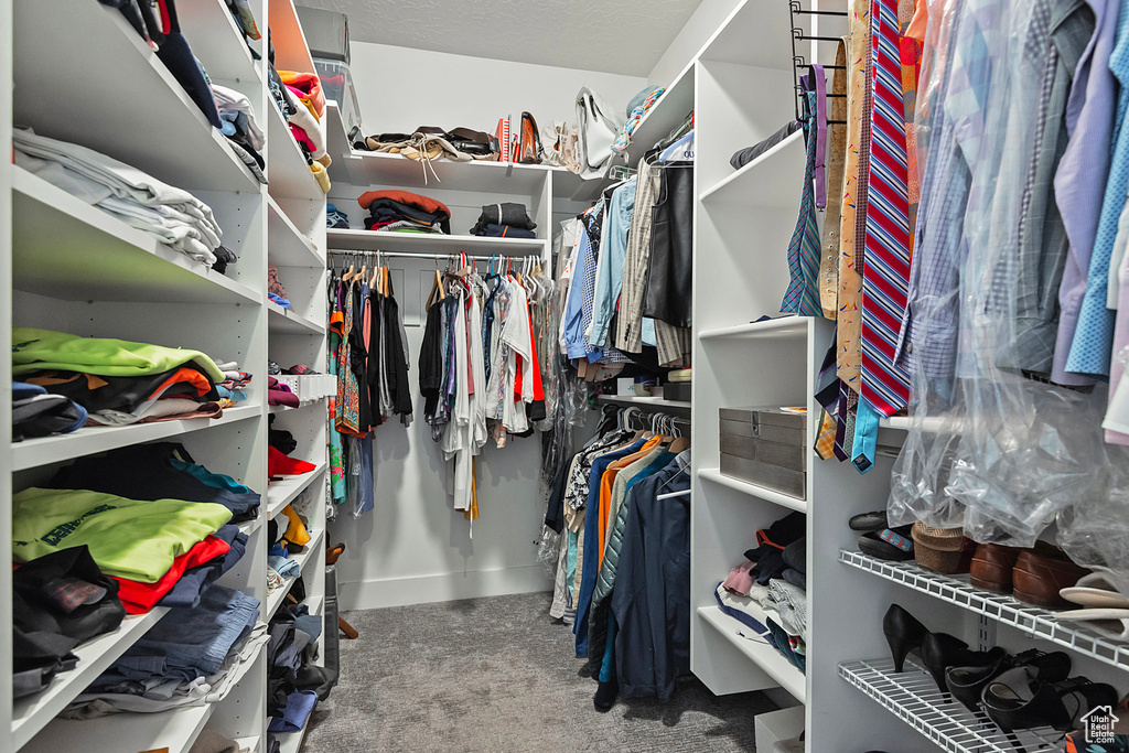 Walk in closet featuring carpet flooring