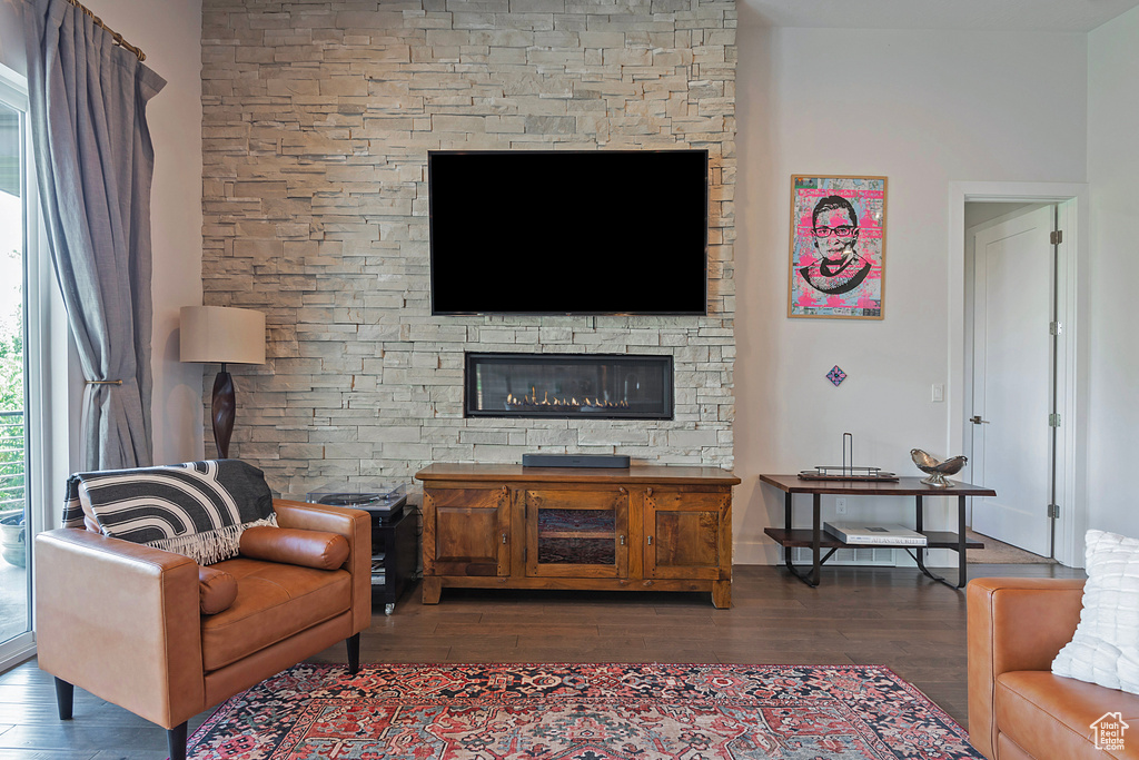 Living room featuring wood finished floors and a stone fireplace