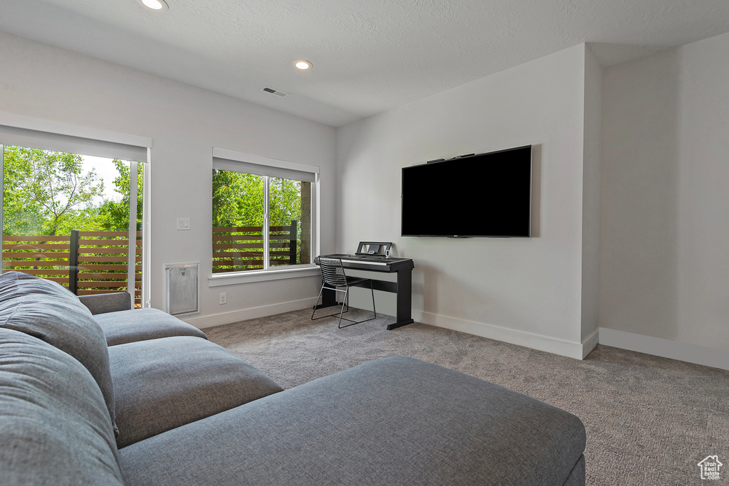 Living room featuring carpet and recessed lighting