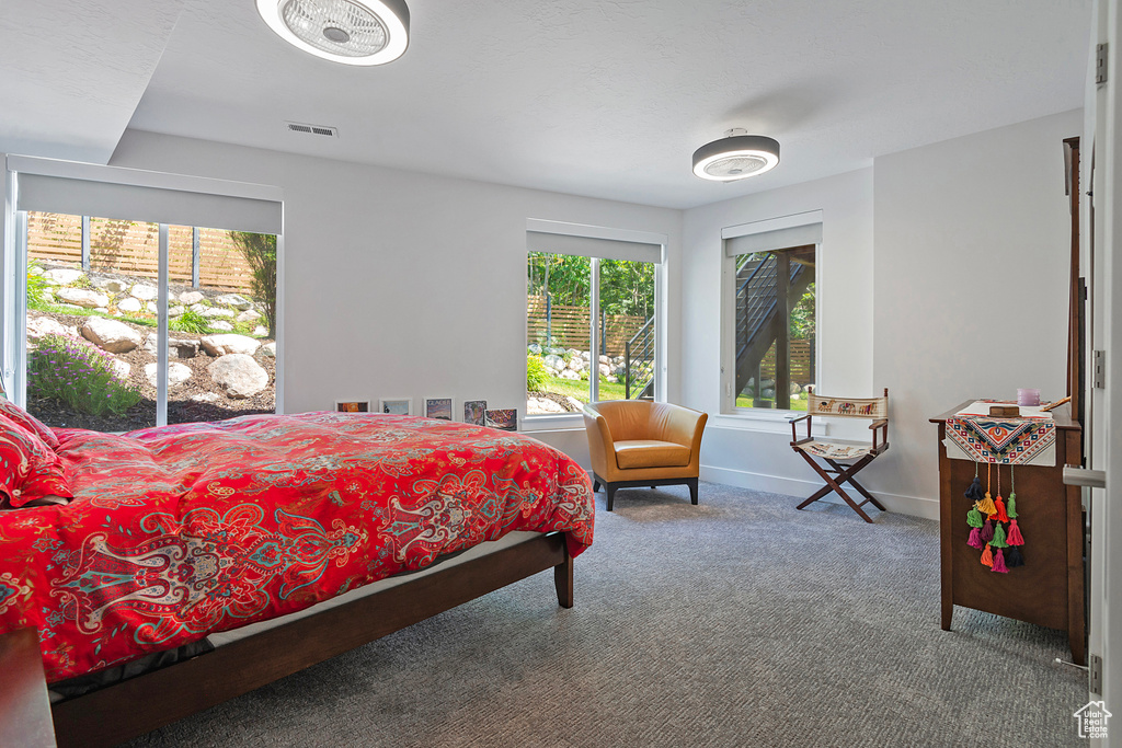 Bedroom with multiple windows and carpet floors