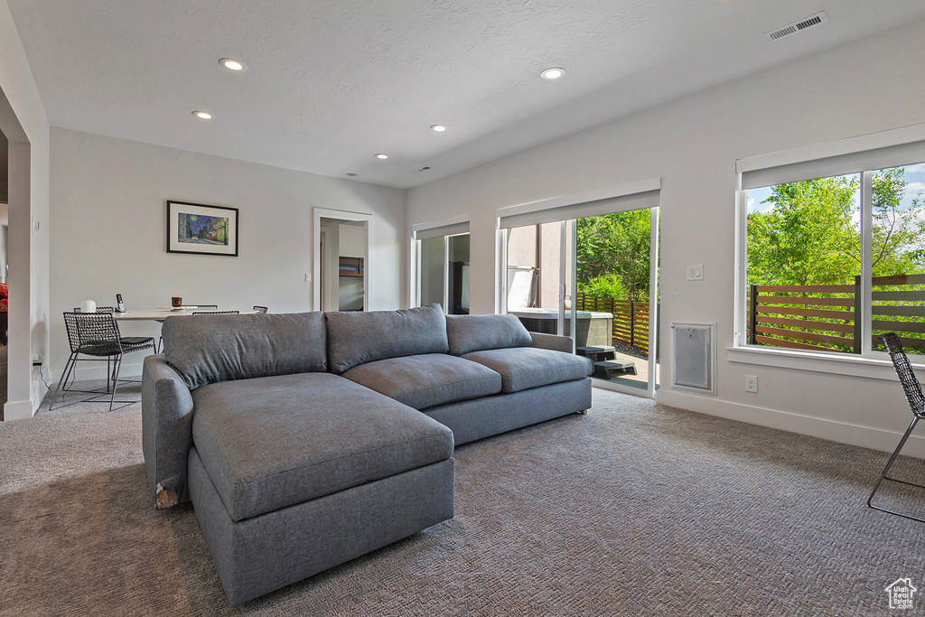 Carpeted living room featuring plenty of natural light and recessed lighting