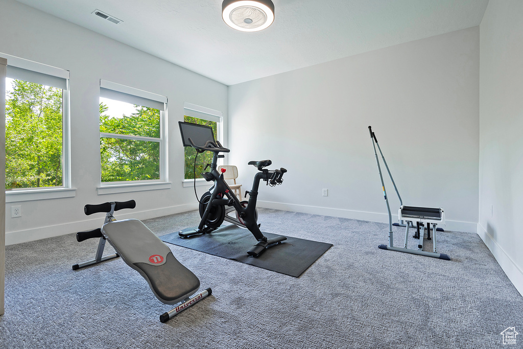 Exercise room featuring carpet flooring
