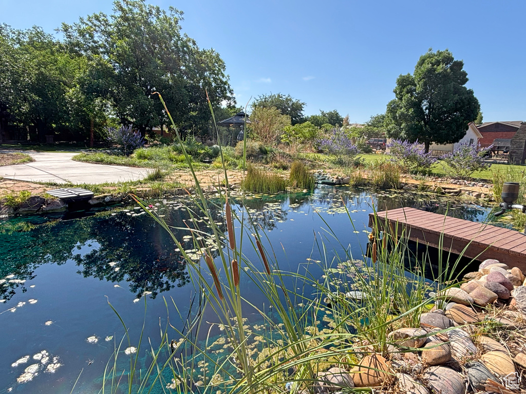Water view featuring a small pond