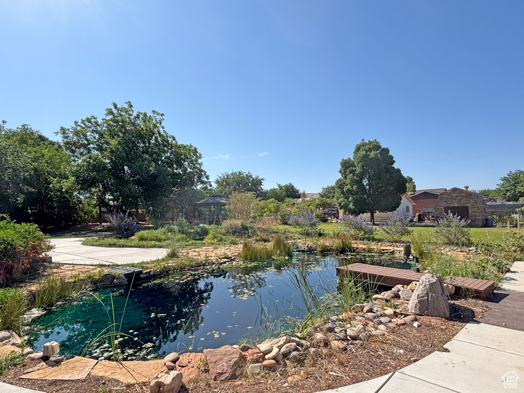 Water view featuring a small pond