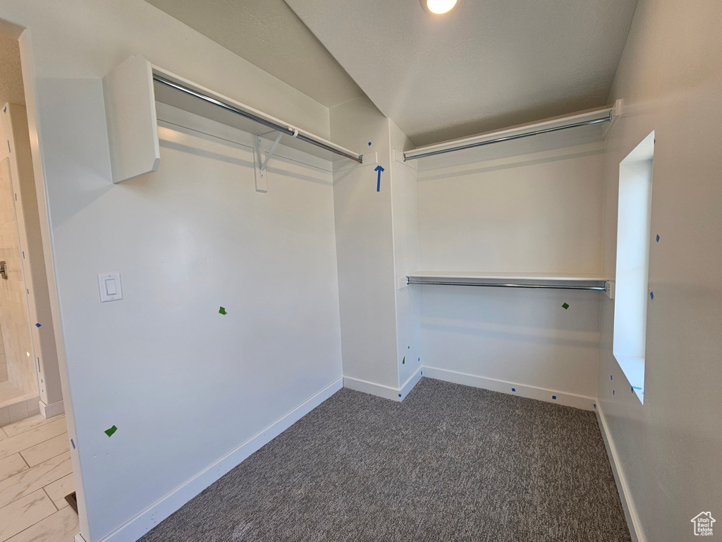 Walk in closet with carpet floors