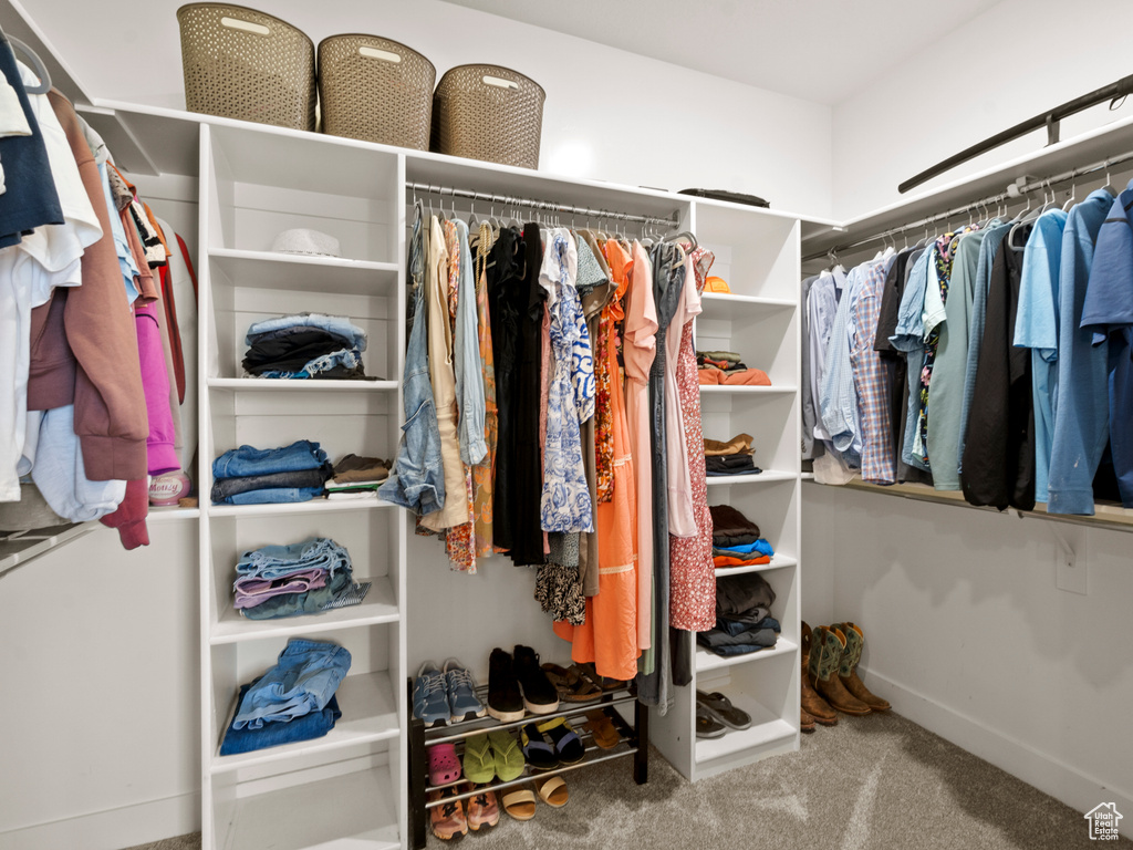 Spacious closet with carpet floors