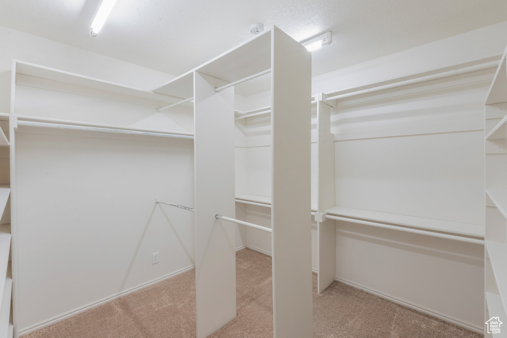 Spacious closet featuring carpet floors