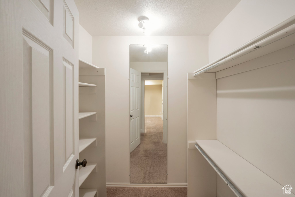 Walk in closet featuring carpet