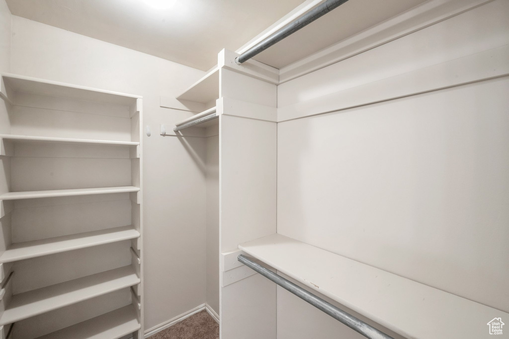 Spacious closet with carpet flooring
