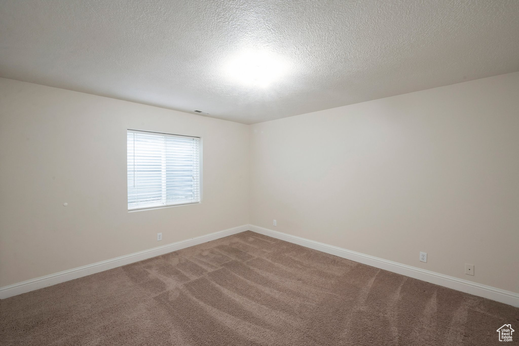 Unfurnished room featuring carpet flooring and a textured ceiling