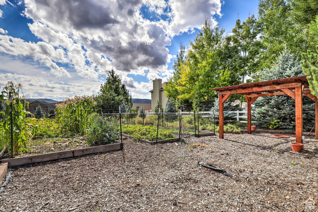 View of yard with a vegetable garden