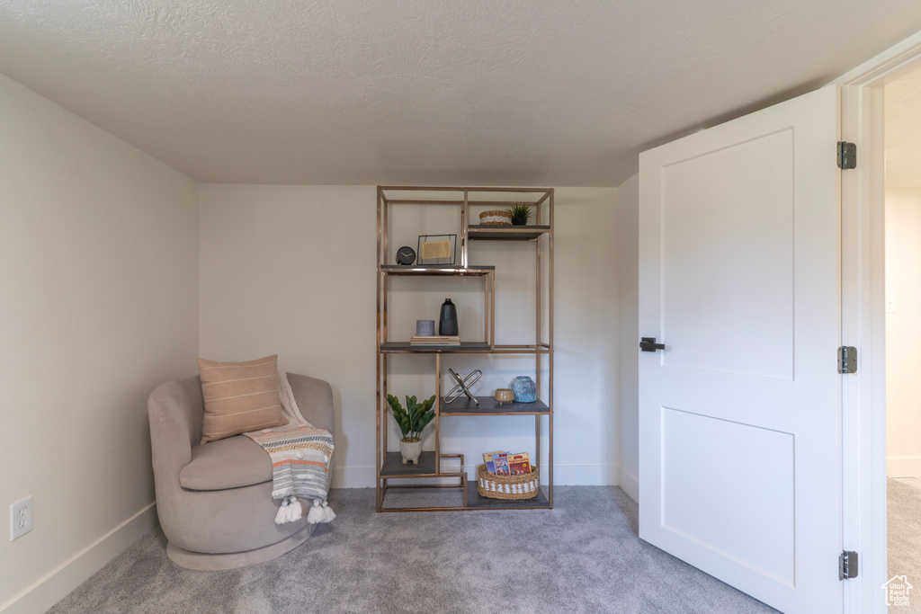 Living area with carpet and a textured ceiling
