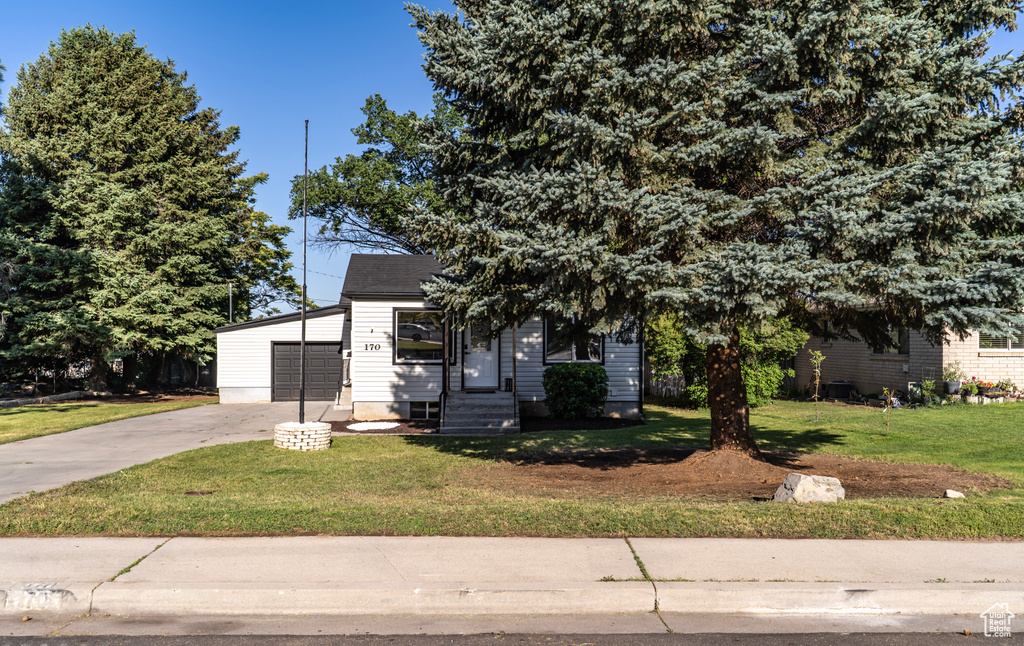 View of property hidden behind natural elements with concrete driveway, a garage, and a front yard