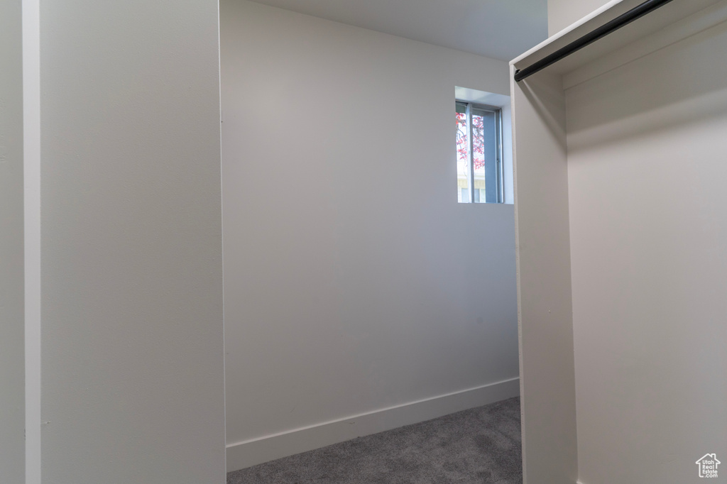 Walk in closet featuring carpet floors