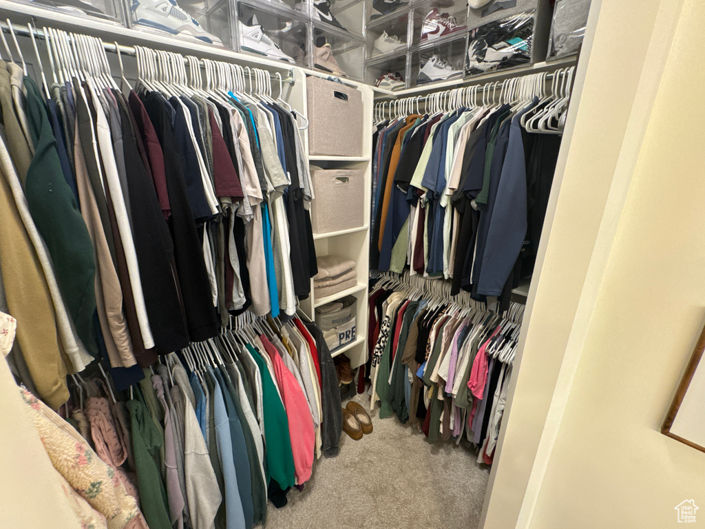 Spacious closet with carpet flooring