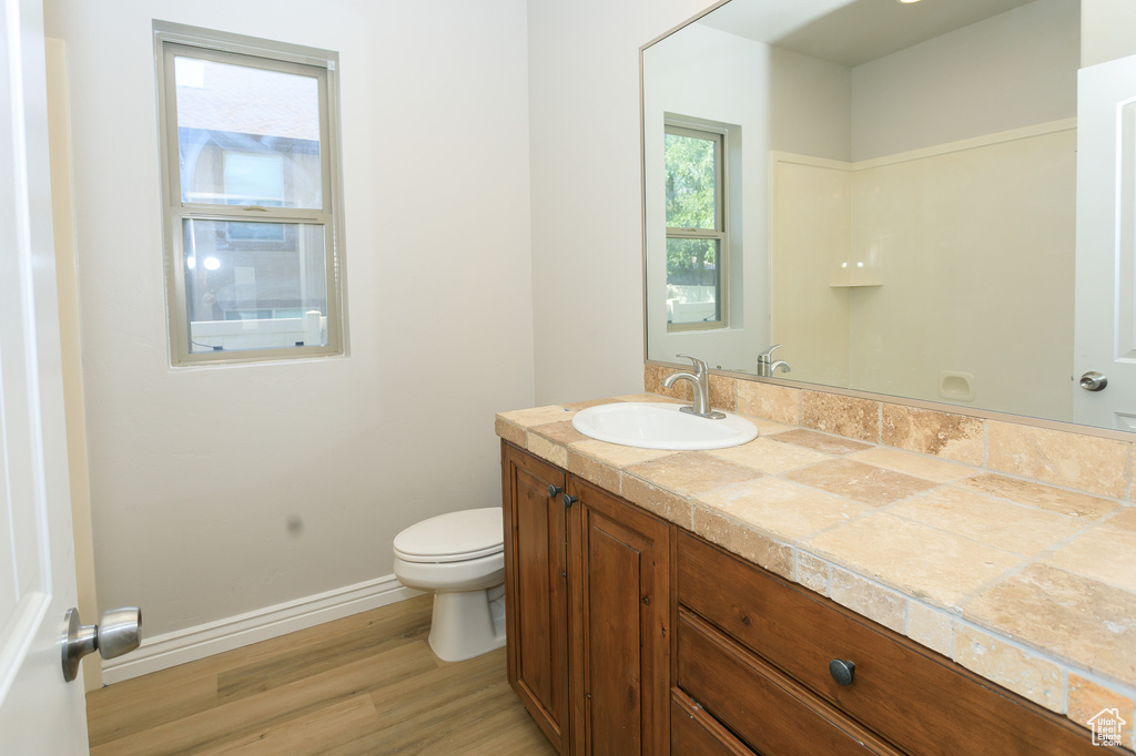 Bathroom with vanity and wood finished floors