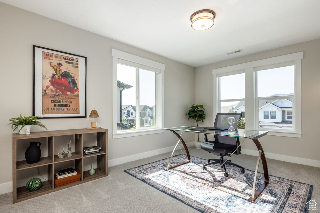 Carpeted office with plenty of natural light