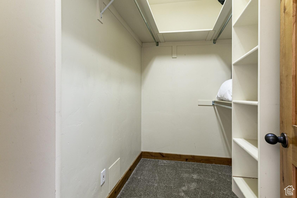 Spacious closet featuring carpet