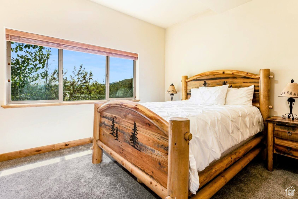 Carpeted bedroom with multiple windows