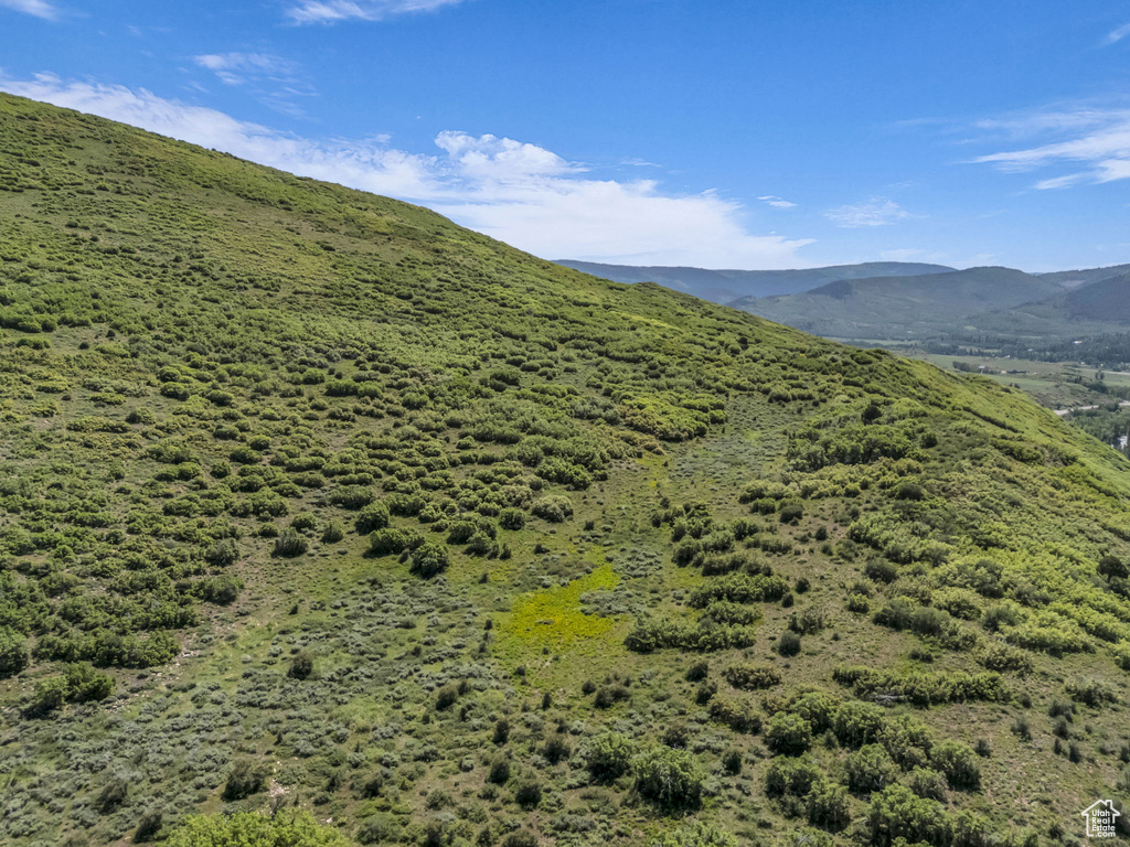 Mountain view