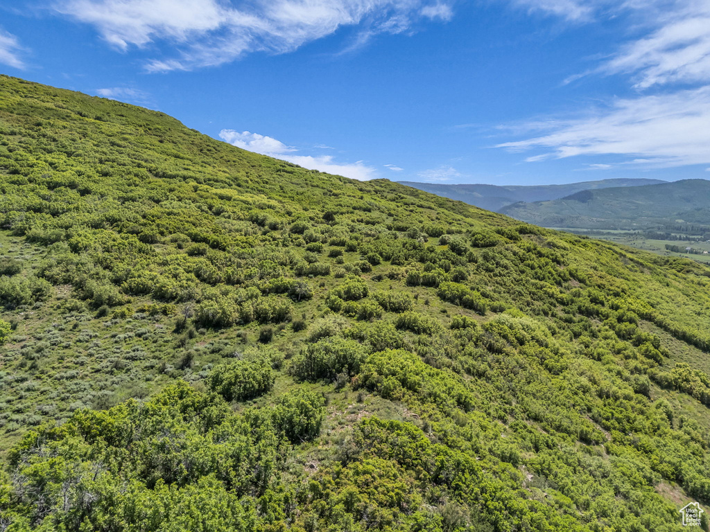 Mountain view featuring a heavily wooded area