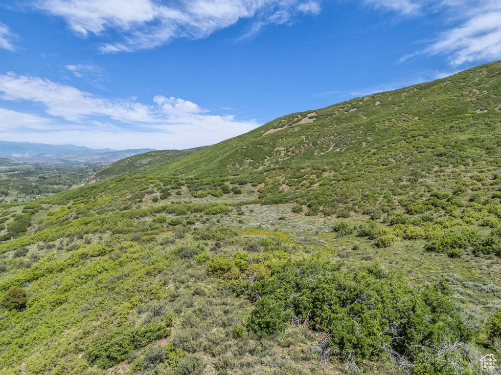 View of mountain background