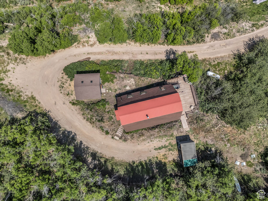Bird\'s eye view