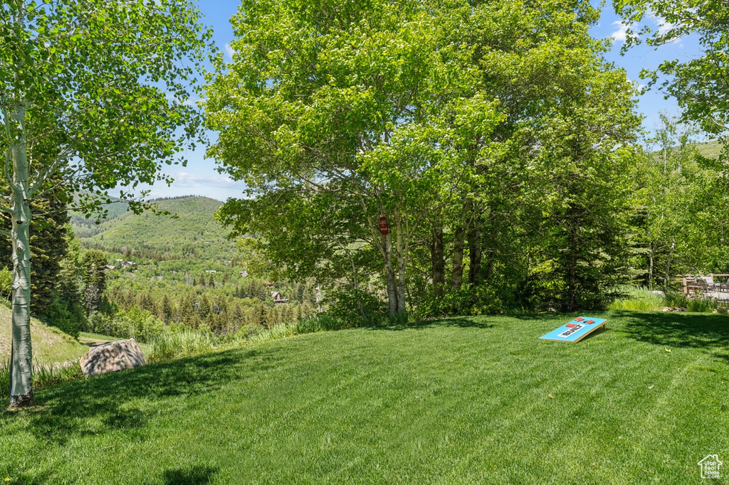 View of green lawn