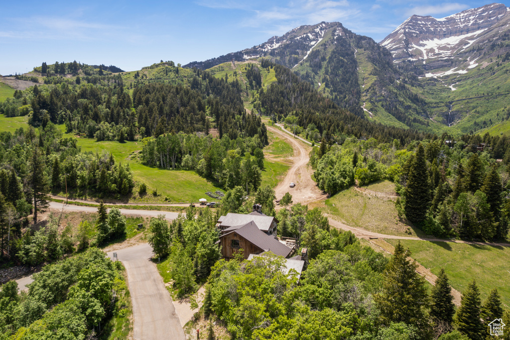 View of mountain background with a forest