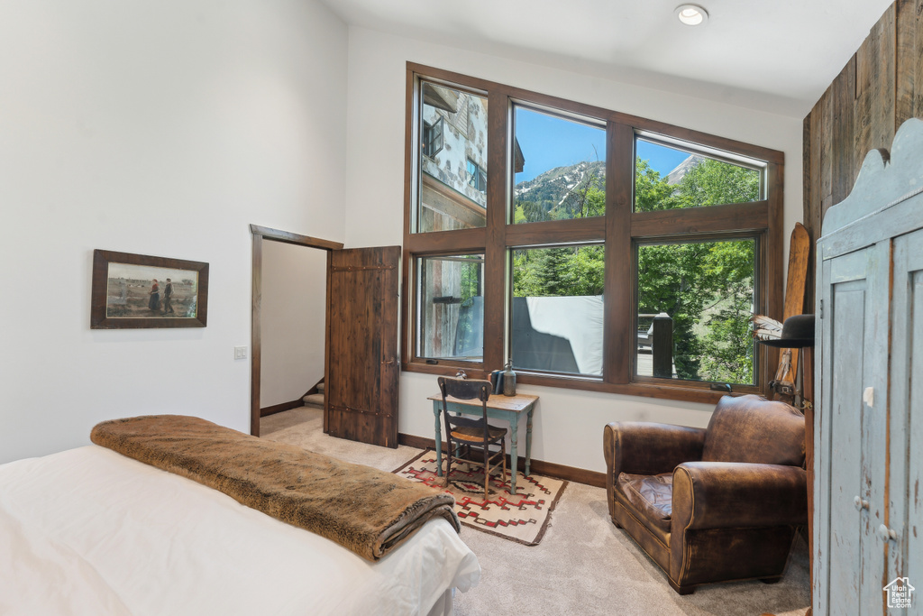 Carpeted bedroom with baseboards and a towering ceiling
