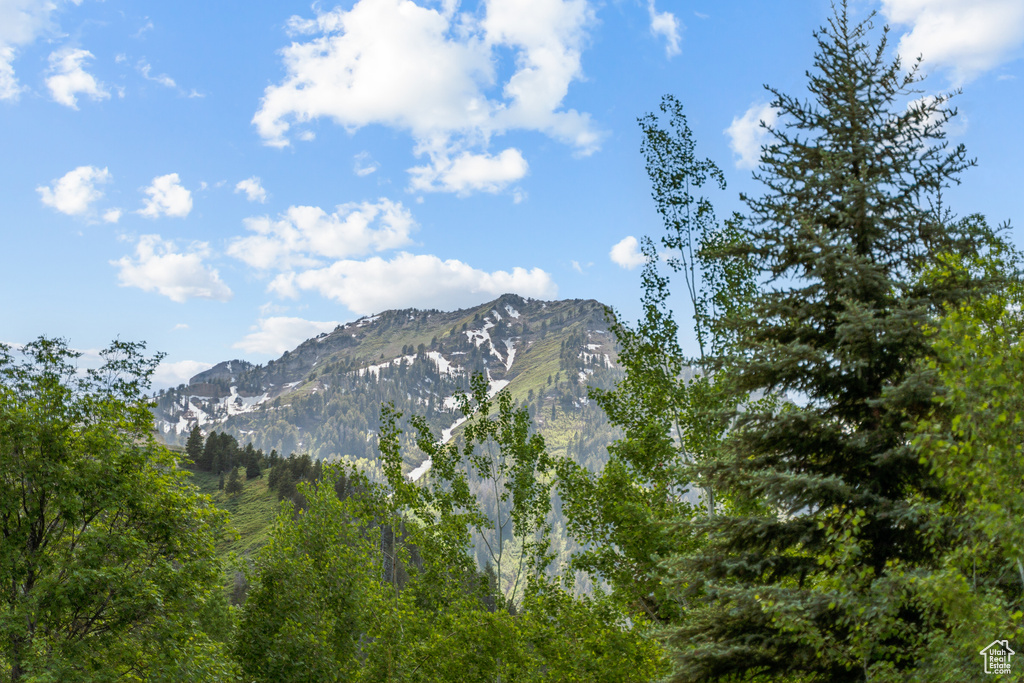 View of mountain backdrop