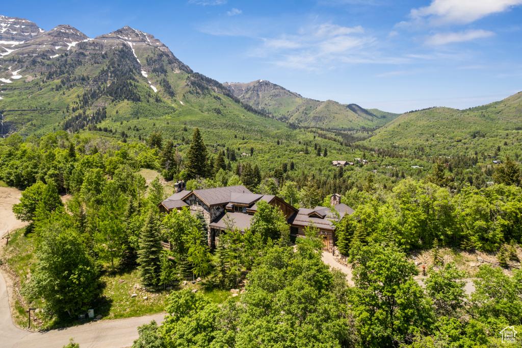 View of mountain backdrop with a forest