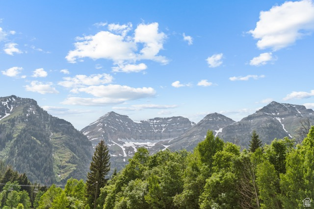 View of mountain background