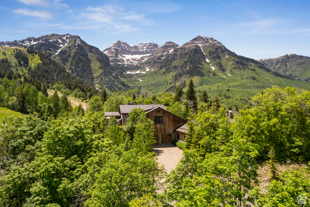Mountain view