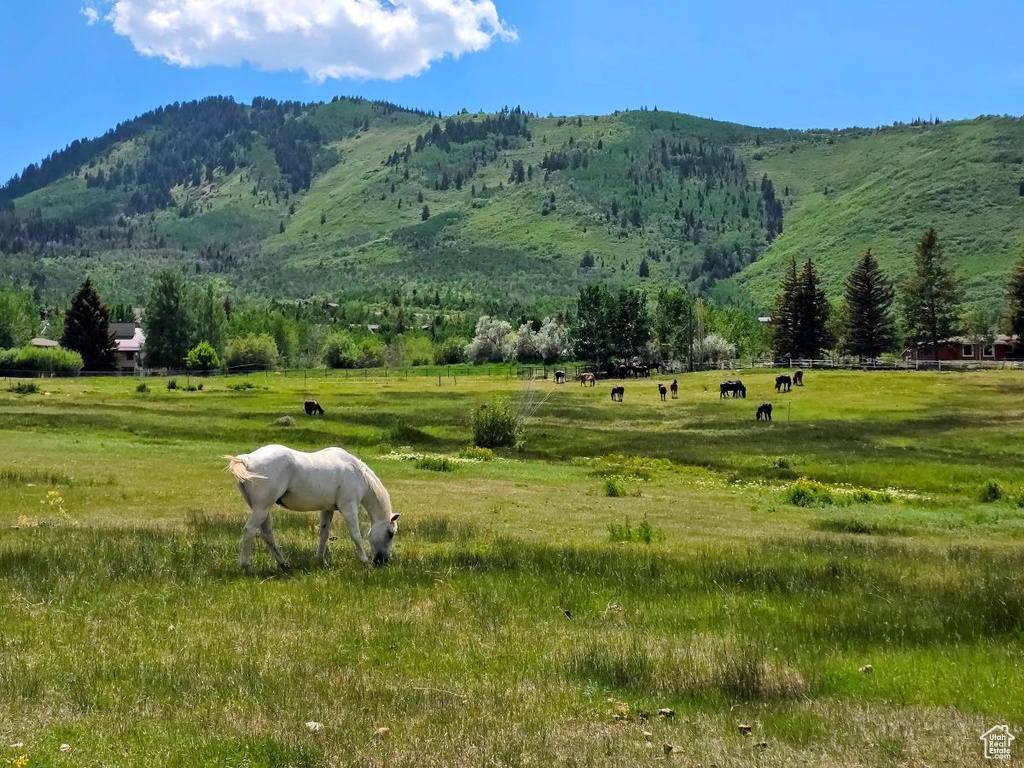 View of mountain background with rural landscape and a pastoral area