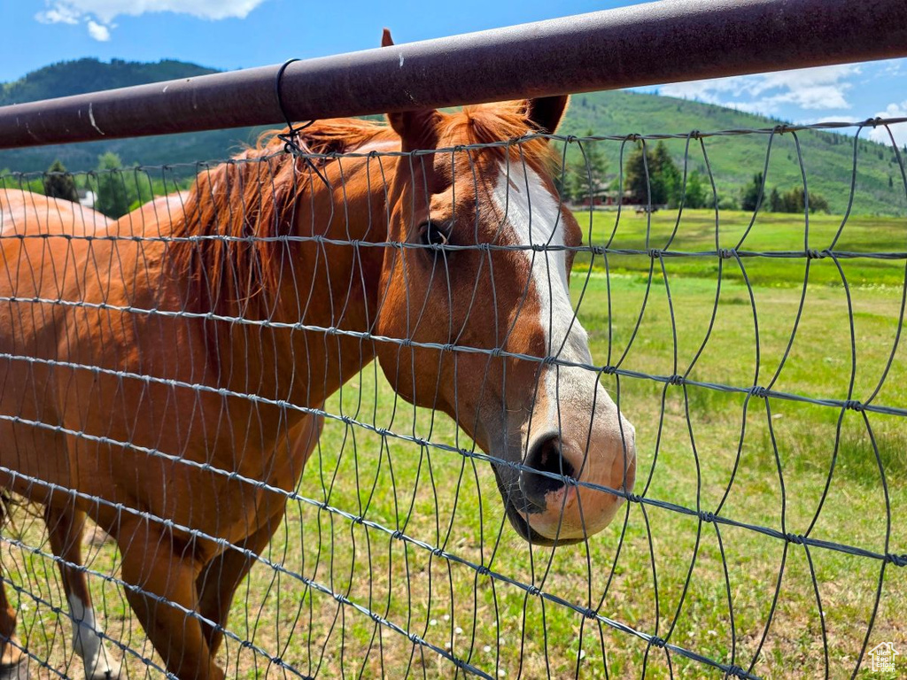 Stable featuring a mountain view