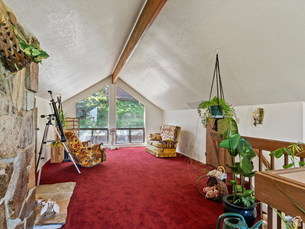 Recreation room with a textured ceiling and carpet flooring