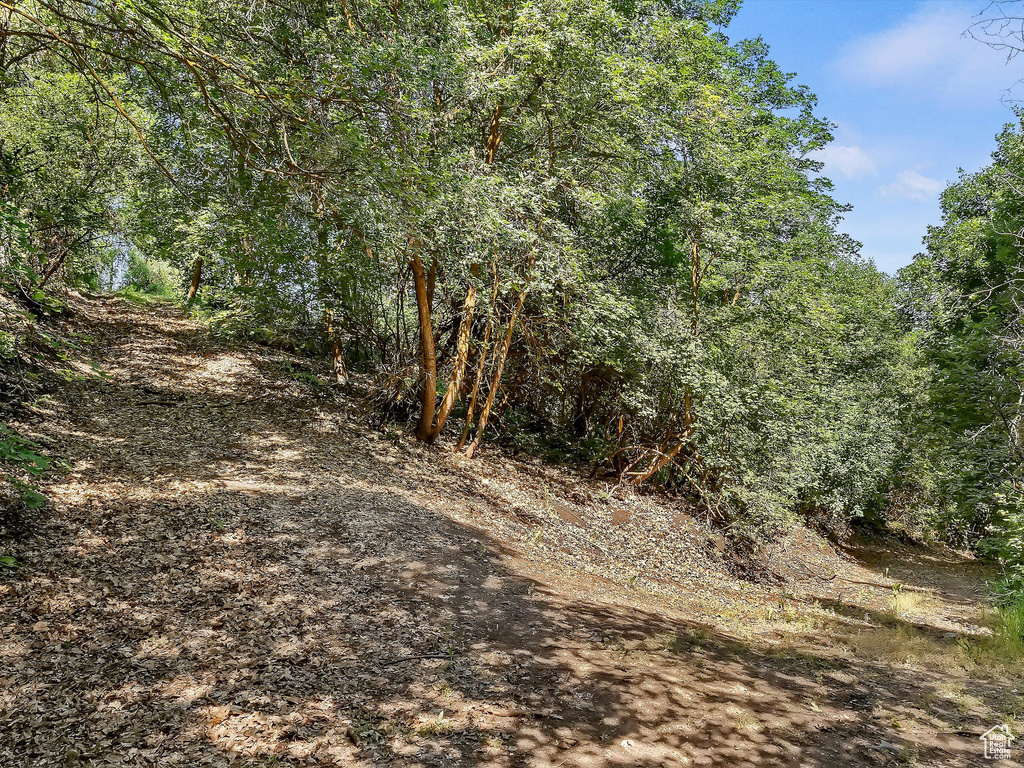 View of undeveloped land