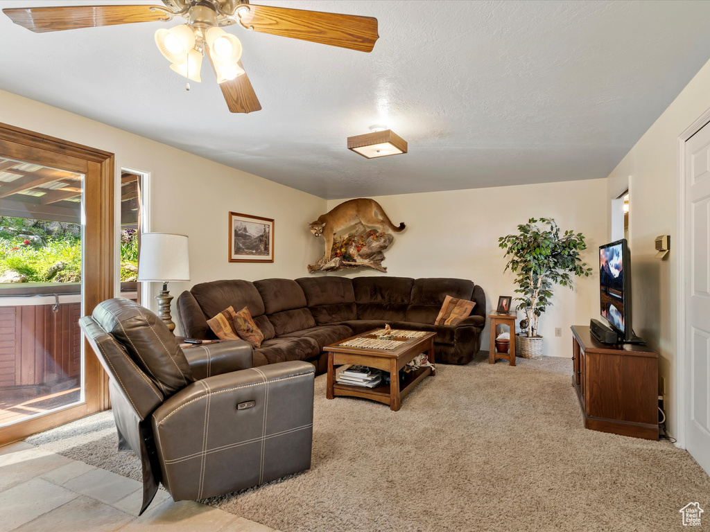 Living area with a ceiling fan