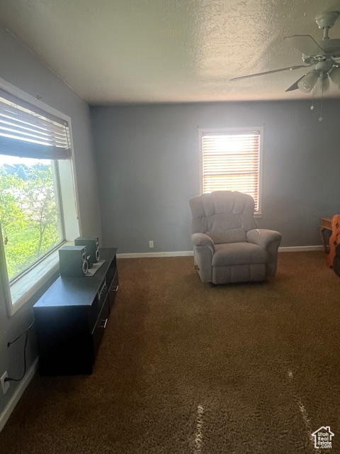 Sitting room featuring dark carpet, ceiling fan, and a textured ceiling