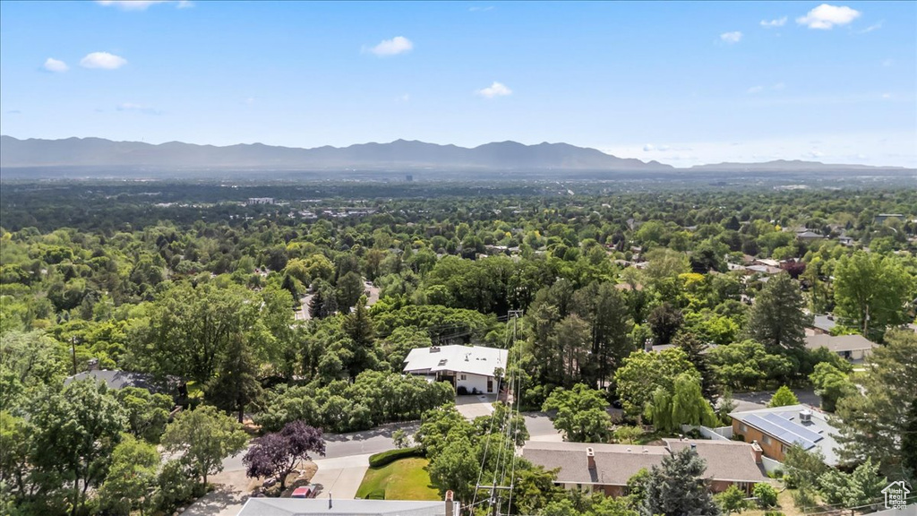 Drone / aerial view of a mountain backdrop and a forest