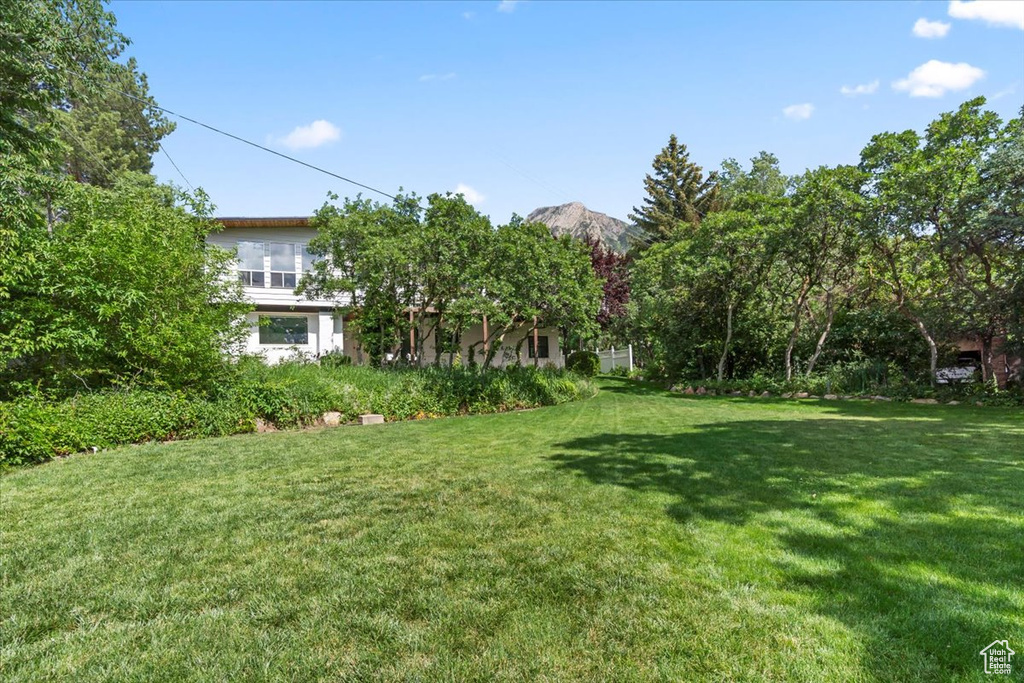 View of grassy yard
