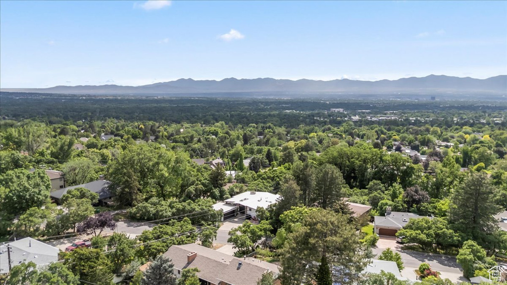 Aerial view of a mountainous background and a forest