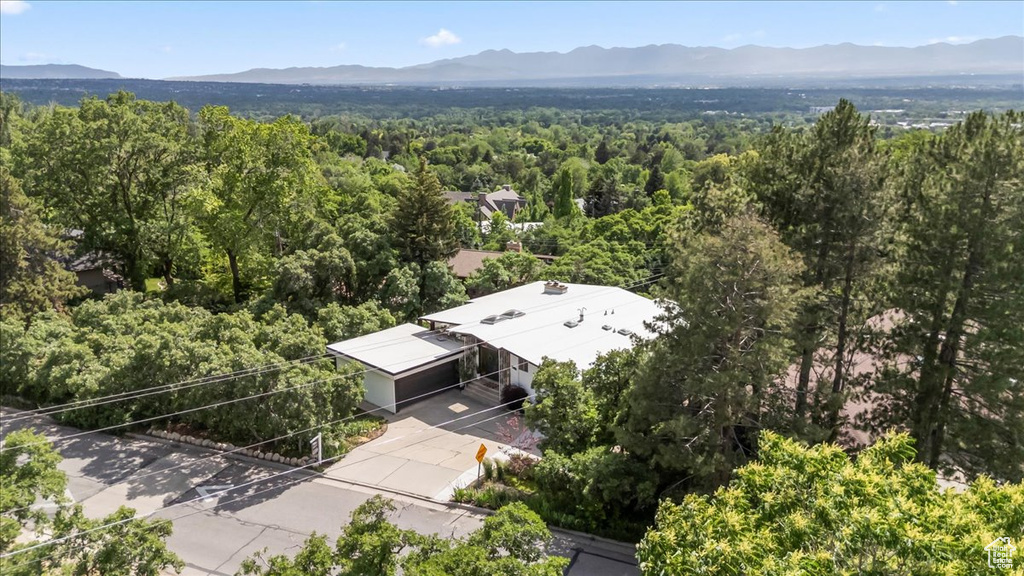 Drone / aerial view of a forest and mountains