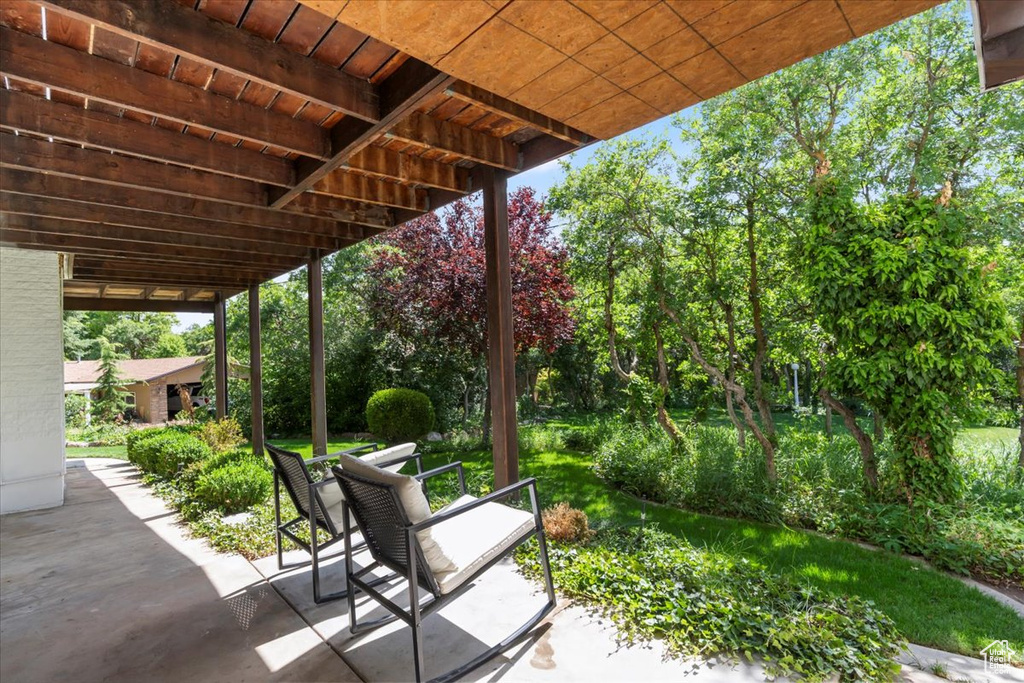 View of patio / terrace with view of scattered trees